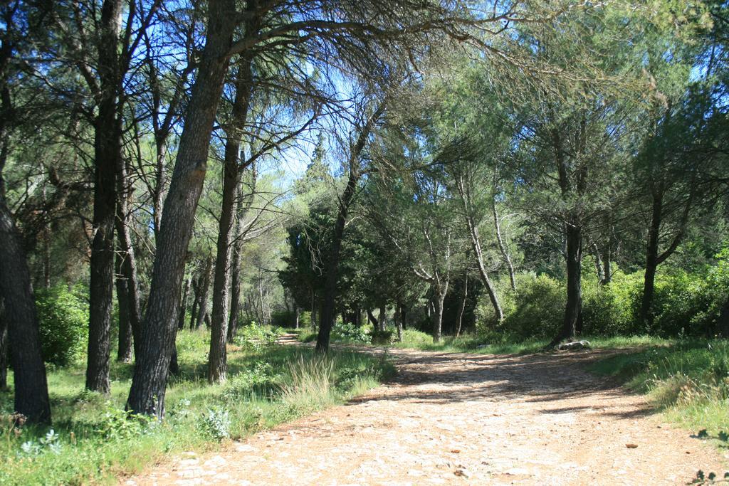 Chambres d'hôtes Le Puid de Gauthier Saturargues Exterior foto